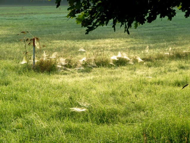 Drei Tage lange Wanderung durch Oberfranken