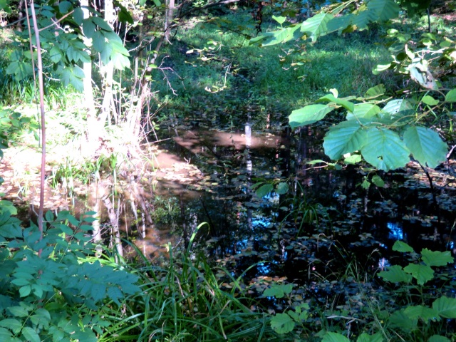 Drei Tage lange Wanderung durch Oberfranken