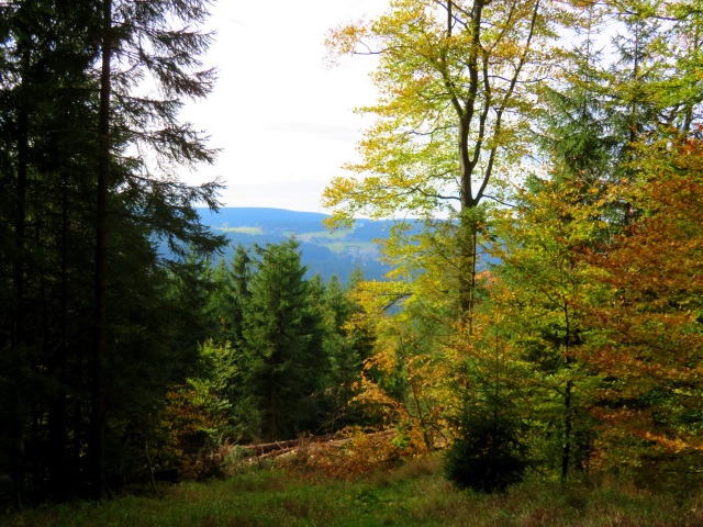 Tour im Thringer Wald am 20.10.2021