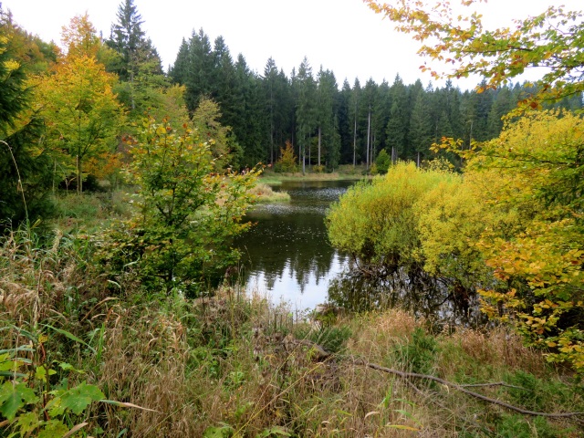 Tour im Thringer Wald am 20.10.2021