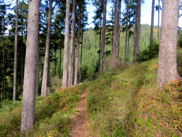 Tour im Thringer Wald am 20.10.2021