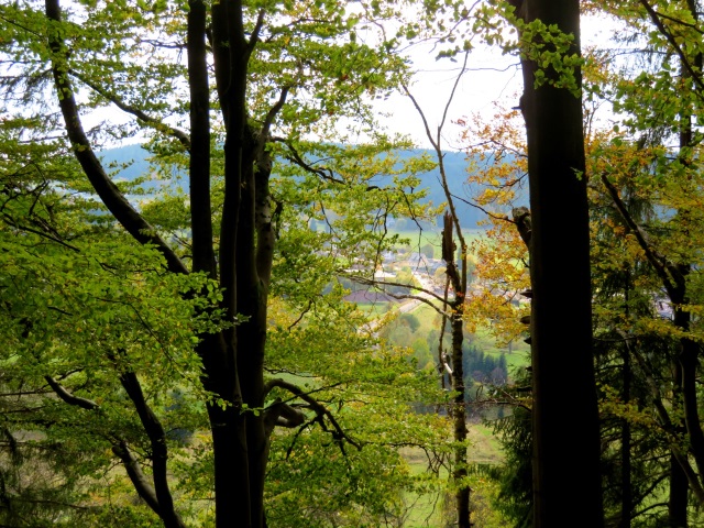 Tour im Thringer Wald am 20.10.2021