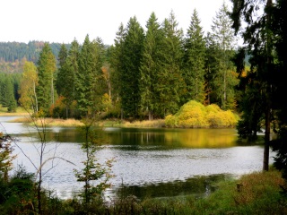 Tour im Thüringer Wald am 20.10.2021