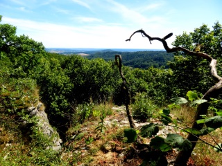 Aussichtspunkt oberhalb von Frankendorf bei meiner Amstling-Tour im August 2022