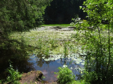 Am Käsperlas Weiher bei Schlehenbachtal-Runde im August 2023