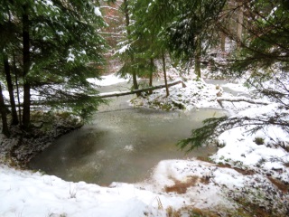 "Bibersee" im Schlehenbachtal im Dezember 2023