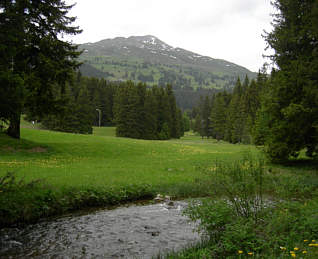 Women's Bike Festival 2006 in Lenzerheide