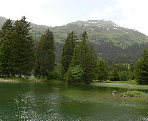 Women's Bike Festival 2006 in Lenzerheide