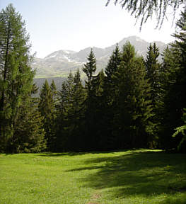 Women's Bike Festival 2006 in Lenzerheide