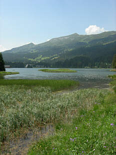 Women's Bike Festival 2006 in Lenzerheide