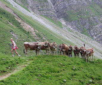 Women's Bike Festival 2006 in Lenzerheide