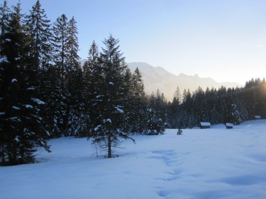 Das Kranzbach - Bewegung im Winter