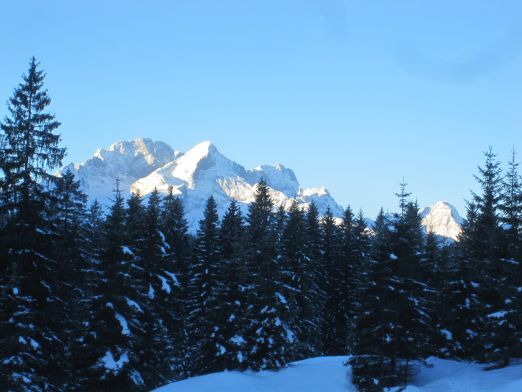 Das Kranzbach - Bewegung im Winter