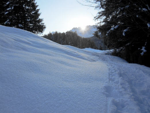 Das Kranzbach - Bewegung im Winter