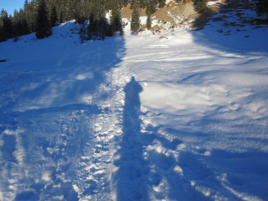 Das Kranzbach - Bewegung im Winter