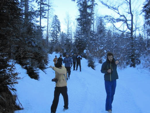 Das Kranzbach - Bewegung im Winter