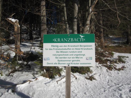 Das Kranzbach - Bewegung im Winter