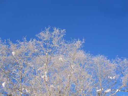 Das Kranzbach - Bewegung im Winter