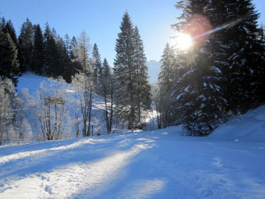 Das Kranzbach - Bewegung im Winter