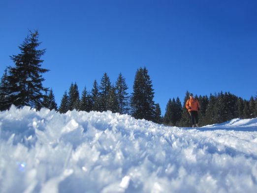 Das Kranzbach - Bewegung im Winter