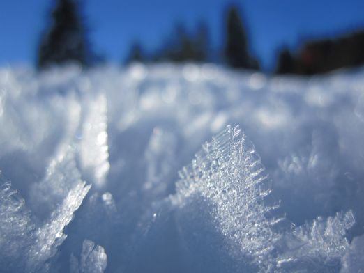 Das Kranzbach - Bewegung im Winter