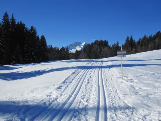 Das Kranzbach - Bewegung im Winter