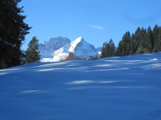 Das Kranzbach - Bewegung im Winter