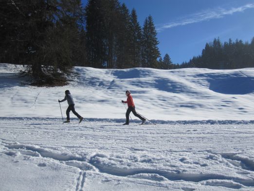 Das Kranzbach - Bewegung im Winter