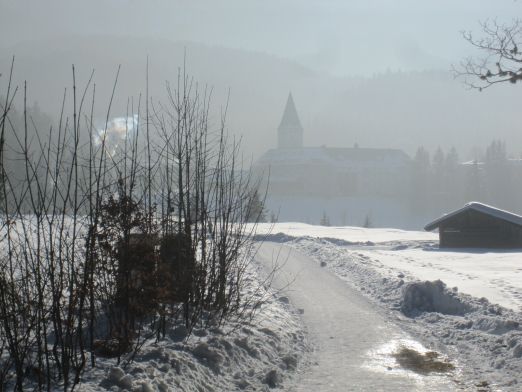 Das Kranzbach - Bewegung im Winter