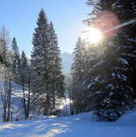 Das Kranzbach - Bewegung im Winter