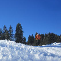 Das Kranzbach - Bewegung im Winter