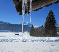 Das Kranzbach - Bewegung im Winter