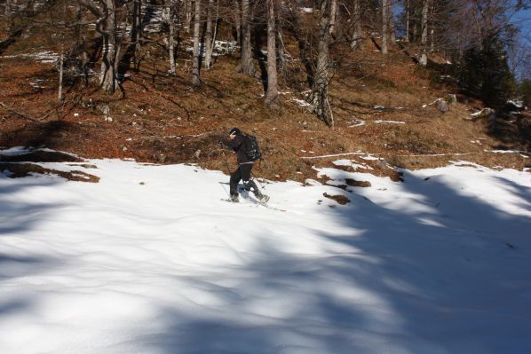 Das Kranzbach - Bewegung im Winter