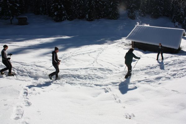 Das Kranzbach - Bewegung im Winter