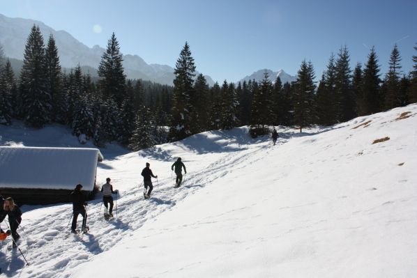 Das Kranzbach - Bewegung im Winter