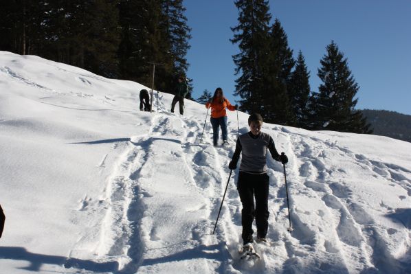 Das Kranzbach - Bewegung im Winter