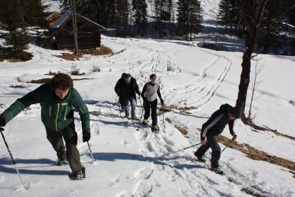 Das Kranzbach - Bewegung im Winter