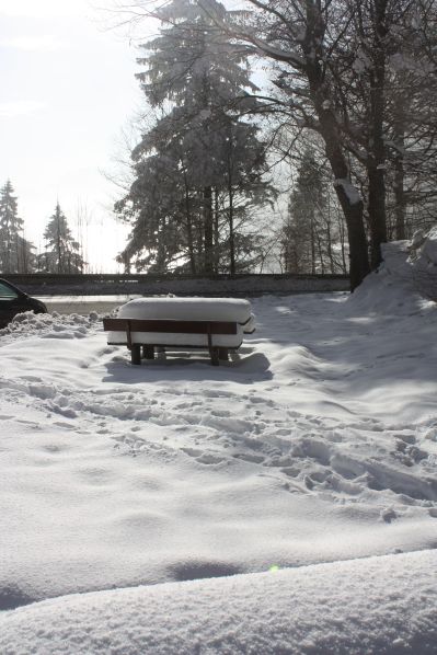 Das Kranzbach - Bewegung im Winter