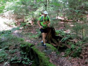 Sommerlauf im Wald